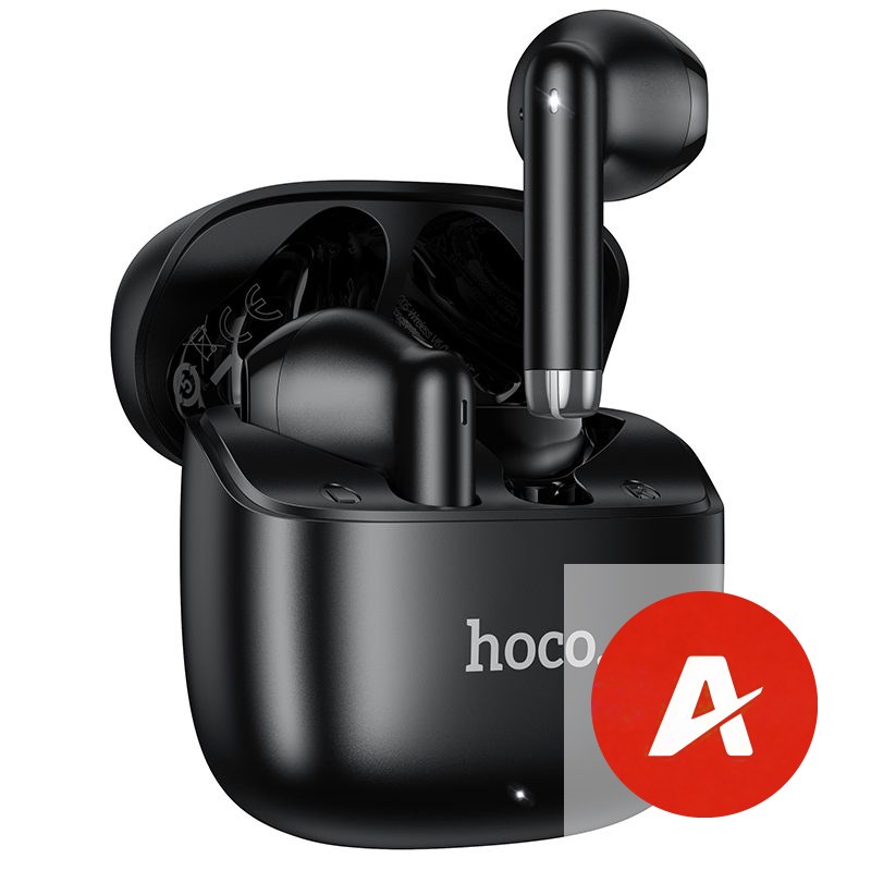 EW205 Peaceful true wireless BT headset