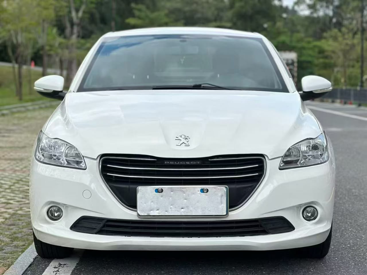 2014 Peugeot 301
