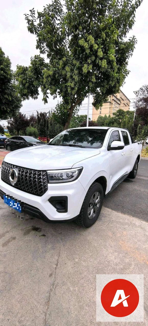 2024 Great Wall Pao 2.4T Diesel