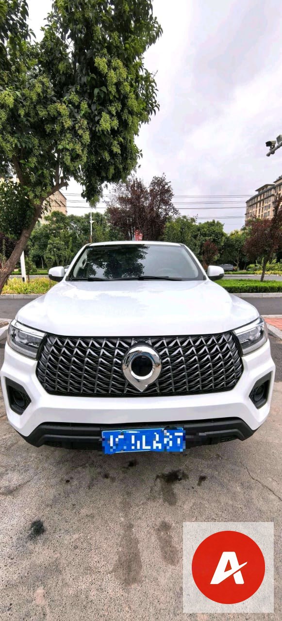 2024 Great Wall Pao 2.4T Diesel