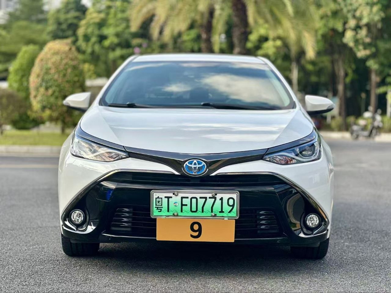 2019 Toyota Levin Twin Engine E+ Plug-in Hybrid Sedan